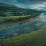 Illustration of the impact of river pollution on marine ecosystems in Wales (AI-generated, non-realistic illustration). Credit: Ideogram.