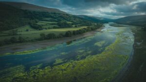 Illustration of the impact of river pollution on marine ecosystems in Wales (AI-generated, non-realistic illustration). Credit: Ideogram.